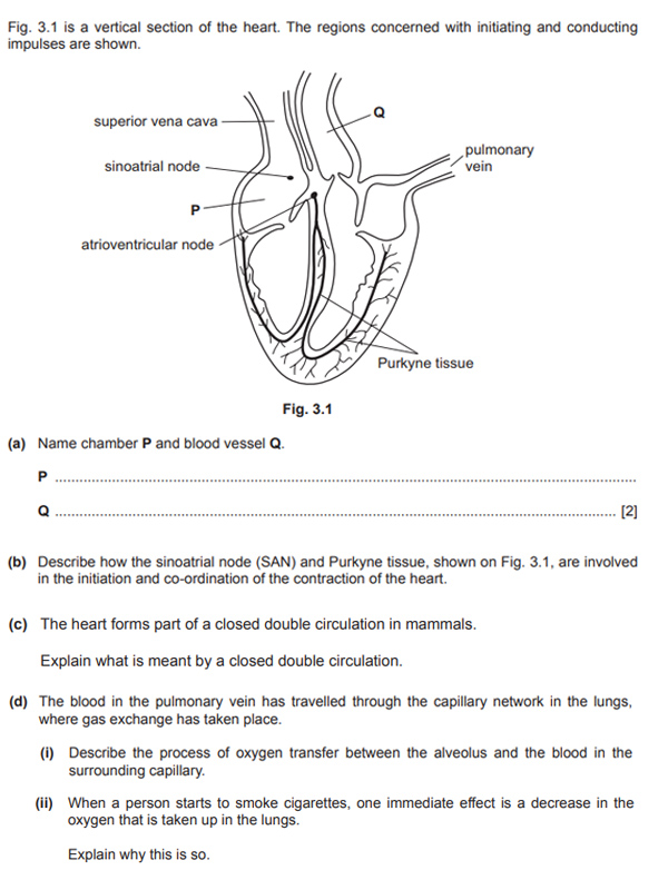 A-level￼⽲